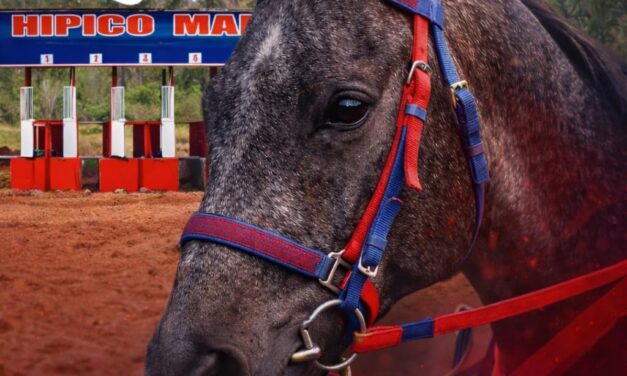 La emoción del turf vuelve a la pista