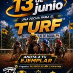 Donde la pasión del turf cobra vida