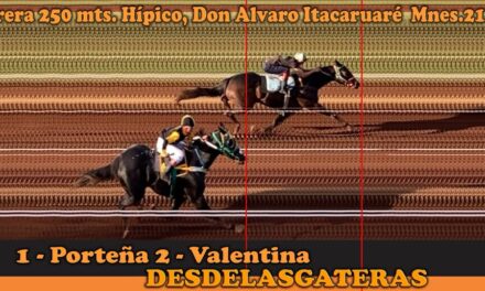 Todo lo sucedido en el hipico Don Alvaro de Itacaruaré Misiones este 21-06-26