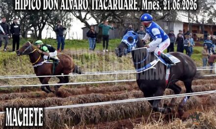MACHETE – HIPICO DON ALVARO, ITACARUARE, MISIONES