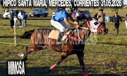 MIMOSA – Clásico Hipico SANTA MARIA Mercedes, Corrientes 31.05.2026