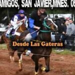 BICHOTA – HIPICO LOS AMIGOS SAN JAVIER 05.07.2026