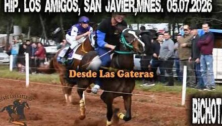 BICHOTA – HIPICO LOS AMIGOS SAN JAVIER 05.07.2026