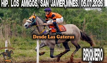 BRIQUERO – HIPICO LOS AMIGOS, SAN JAVIER, MISIONES 05.07.2026