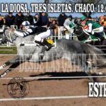 ESTEBAN – GRAN PREMIO LIBRE 200 METROS, HIPICO LA DIOSA, TRES ISLETAS, CHACO 12.07.2026