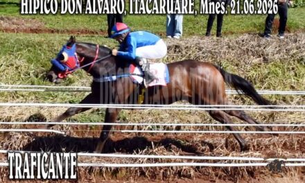 TRAFICANTE – CLASICO HIPICO DON ALVARO, ITACARUARE 21.06.2026