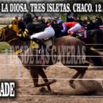 UPGRADE GPI FJM FINAL POLLA POTRILLOS CFS, HIPICO LA DIOSA, TRES ISLETAS CHACO 11.07.2026